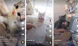 小王抖音爆料事件视频